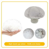 Jouet en peluche pour animaux de compagnie en forme de champignon, doux, résistant aux morsures, jouet interactif pour chien et chat, jouet en peluche en forme de légume