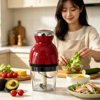 Mini hachoir à viande électrique, robot culinaire, fonction de broyage, mixeur pour bébé, hachoir à légumes, multifonctionnel