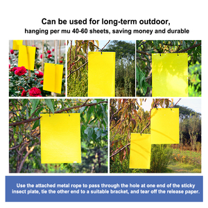 Piège collant jaune solide double face étanche pour le contrôle des ravageurs <span class=keywords><strong>de</strong></span> jardin courants - Product Image 6