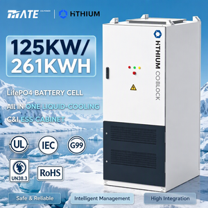 Sistema di Accumulo Energetico HiTHIUM 125kW 261kWh con Batteria LifePO4 a Raffreddamento Liquido e Certificazione UL1973 per la Regione Piamontese delle Terre Polari - Product Image 1