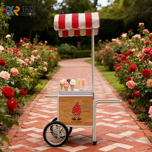 รถเข็นขายไอศกรีม<span class=keywords><strong>แบบ</strong></span>เข็นมือคุณภาพดีสำหรับใช้งานกลางแจ้ง พร้อมรถเข็นไฟฟ้า<span class=keywords><strong>แบบ</strong></span>ถอดได้ - Product Image 3