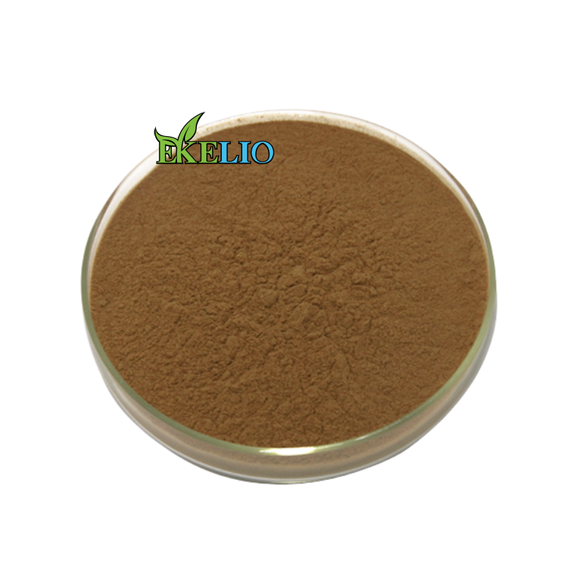 High Quality Persimmon Fruit Extract Powder Persimmon Leaf Extract