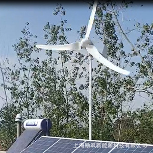 Wind <b>Generator</b> 800w Horizontal Axis 12v Home Use Low Start Wind Speed 3.0m/s Energy Saving Efficient - Product Image 2