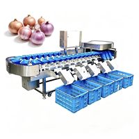 Industriële automatische weegsorteermachine voor uien, aardappelen, vis en fruit