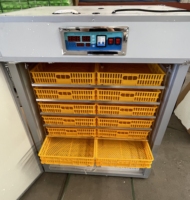 Couveuses automatiques électriques multifonctionnelles pour œufs et incubateurs pour pintades à prix abordables