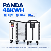 Pack de batteries LiFePO4 Docan Panda 51,2V 32kWh 628Ah 48kWh 942Ah avec cellules MB31 314Ah, stockage d'énergie solaire, batterie solaire UE USA