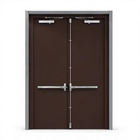 Porte d'urgence en acier à double battant avec barre anti-panique et ferme-porte vertical pour écoles, hôpitaux, hôtels
