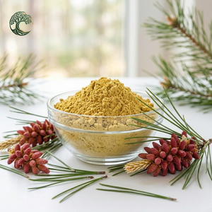 Wholesale 1kg Food Grade Pine Pollen Powder 99% Cell Wall Cracked Herbal Extract with <strong>Protein</strong> Drum Packaging - Product Image 3