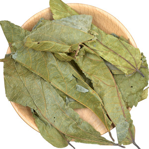 Vente en gros, vente en gros, Microcos séchées, feuilles de <span class=keywords><strong>paniculata</strong></span>, Microctis naturels, Folium pour herbe - Product Image 1
