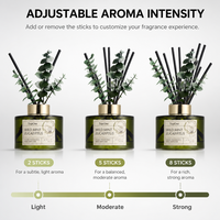 Lot de diffuseurs à bâtonnets haut de gamme TopOne 6,76 oz avec bâtonnets d'eucalyptus, intensité d'arôme réglable, flacon en verre pour la décoration intérieure