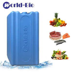 Caja de hielo personalizada con cadena de frío, bloques de hielo para congelador, enfriador aislado y cajas de almuerzo, precio barato, venta al por mayor