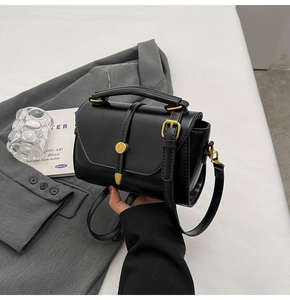 Nouveau sac à main tendance pour jeunes femmes, sac de loisirs de luxe pour femmes, sacoche de créateur pour femmes - Product Image 2