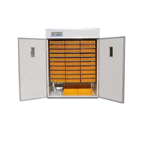<span class=keywords><strong>Prix</strong></span> spécial 2464 oeufs poussins d'autruche incubateur à vendre - Product Image 5