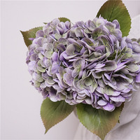 Bunga Hydrangea Latex Sentuhan Nyata Berkualitas Tinggi Warna Vintage Buatan Besar untuk Dekorasi Pesta Pernikahan Bunga Ungu