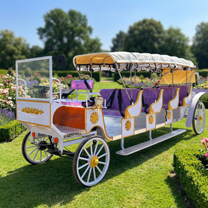 Nouvelle Carrosse Électrique Victorienne Élégante Multi-rangs pour 8-12 Personnes, Structure en Acier, 4 Roues, Couleur Personnalisable, Garantie 2 Ans - Product Image 1