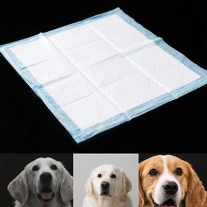 Productos Desechables para Mascotas. Personalizable, Apto para Todos los Tipos de Cuerpo de Mascotas, Admite Muestras de Entrega Gratuita a Domicilio - Product Image 5