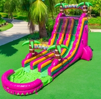 Nieuw Ontwerp Dubbele Glijbaan Opblaasbaar Waterkasteel Outdoor Draak Fruit Gekleurde Palmboom Met Zwembad Te Koop
