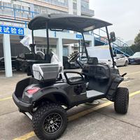 Voiturette de golf électrique à batterie lithium 2 places, couleur personnalisée, fabriquée par Borcart Factory, 4 roues, pour les centres de villégiature et les clubs de golf