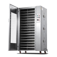 Commercieel Gebruik Automatisch Fruit Drogen Fabriek Voedsel Champignon Chili Groente Fruitmachine Droger