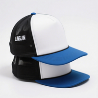 Op maat gemaakte logo's, groothandel bedrukte en geborduurde 5-delige tweekleurige mesh petten, baseballcaps en trucker caps voor heren en dames