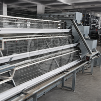 Système de cages automatiques pour poules pondeuses en acier galvanisé à chaud, type A, pour ferme avicole de 1000 à 10 000 oiseaux