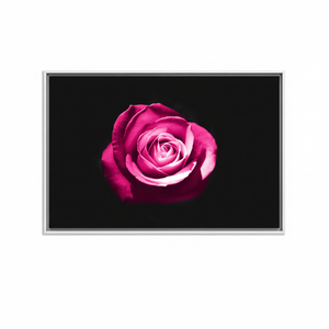 Printed <b>Canvas</b> Artwork: Pink Rose Botanical Glass Wall Art,WHITE <b>FRAMED</b> <b>CANVAS</b> - Product Image 2