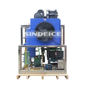 SINDEICE 1 Ton Commercial Tube Ice Making Machine Philippines for Beverage