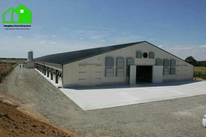 Thép tự động Gà nhà prefab trang trại xây dựng hệ thống thiết kế phong cách cho Gà Thịt và gà giống - Product Image 3