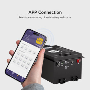 Batería de Litio para Carro de Golf/Buggy de 51.2V 105Ah con Ecualización Activa de 2A, Clasificación IP67, Corriente Pico de 150A, Paquete de Energía de 6000 Ciclos - Product Image 4