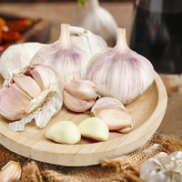 Vente en gros bon marché épices simples herbes ail frais Chine