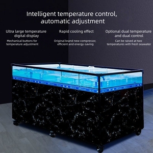 Vasca per Frutti di Mare in Acciaio Inox da Tavolo Ruibit: Acquario Multizona con Refrigeratore per Molluschi e <span class=keywords><strong>Pesci</strong></span> Vivi in Hotel e Ristoranti - Product Image 4