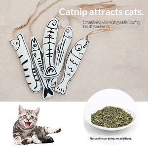 Venta Directa de Fábrica: Juguete para Gatos con Varilla Colgante para Jaula, Autoentretenimiento, Alivio del Aburrimiento, con Hierba Gatera y Tela de Algodón, Juguete Masticable con Forma de <span class=keywords><strong>Pez</strong></span> - Product Image 2