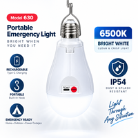Ampoule LED IP54 6500K avec batterie au lithium et 3 batteries rechargeables par USB, E27 AC85-265V, 30W, pour salon et maison