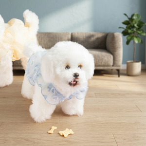 Premium Heart-Shaped See-Through Crop Tee <b>Collar</b> for Pets - Product Image 2