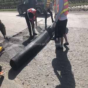 Chất lượng cao polyester <span class=keywords><strong>geogrid</strong></span> hai trục geogid vật nuôi geogrids cho bờ sông gia cố tường chắn - Product Image 6