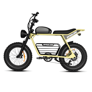 Vélo de montagne à suspension intégrale 20 pouces avec double batterie, moteur arrière, longue autonomie, livraison gratuite, en acier au lithium - Product Image 3