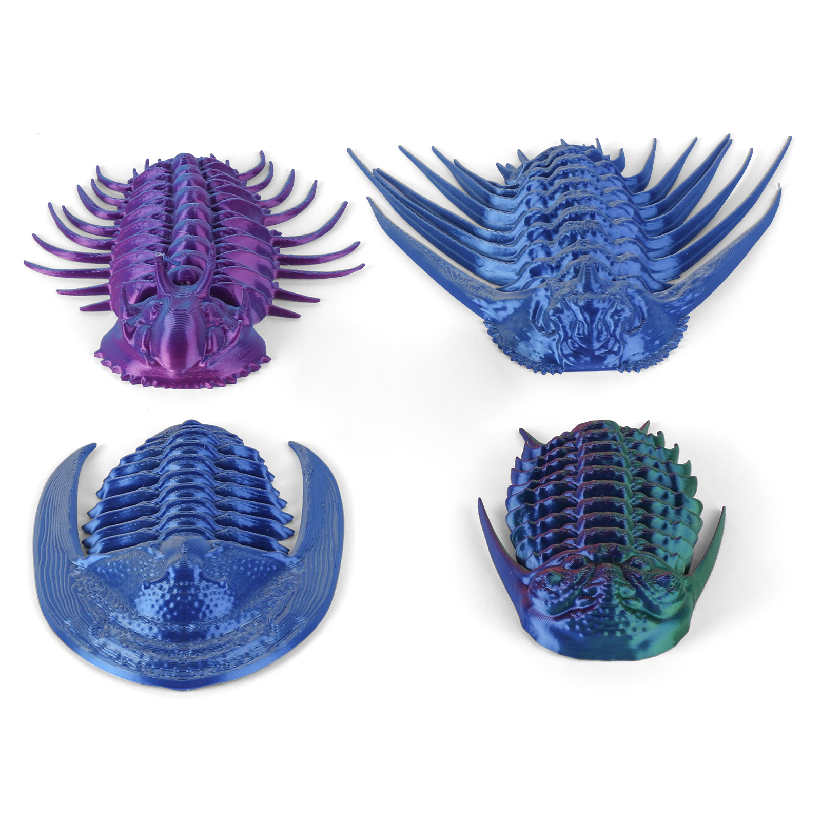 装飾のための芸術的でトレンディなtrilobite fossil -Alibaba.com