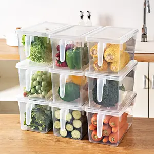 Hot Selling PET Plastic Fruit Vegetables Food Organizer Kitchen Refrigerator Storage Container