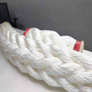 Hot bán trên dòng giá tốt nhất bện <span class=keywords><strong>Poly</strong></span> Neo dây thừng Chất lượng cao PP 8/12 Strand PP Marine Neo dây - Product Image 4