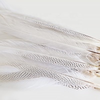 Plumes décoratives en gros à prix abordable, grandes plumes de faisan blanches teintées argentées pour l'artisanat et les festivals