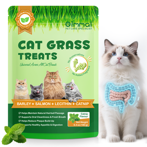 Friandises à la saveur de saumon Oimmal pour chats, emballage personnalisé, friandises poreuses pour la santé des poils, de la peau et du pelage, nourriture pour chats âgés de plus de 3 mois - Product Image 3
