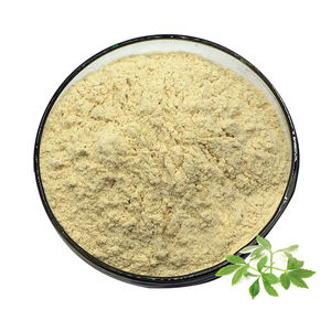 Hongda di alta qualità Gynostemma Pentaphyllum estratto 98% Gynostemma saponine - Product Image 1