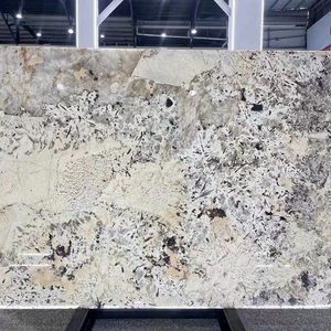 Dalles de granit de luxe en pierre du Brésil, Patagonie, panneaux de pierre frittée pour comptoir, table, mur, salon - Product Image 5