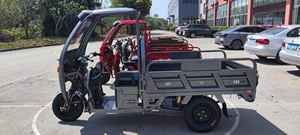 Motocicleta de 3 ruedas para triciclos eléctricos de batería para adultos Mini <span class=keywords><strong>triciclo</strong></span> eléctrico abierto - Product Image 4