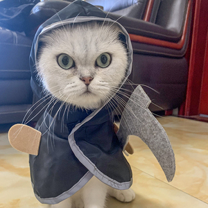 고급 디자이너 폴리에스터 후드 티셔츠 맞춤 할로윈 고양이 및 강아지 반려동물 코스튬 (클래식 액세서리 포함) - Product Image 5