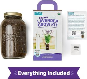 <span class=keywords><strong>Maceta</strong></span> <span class=keywords><strong>grande</strong></span> con raíces traseras recubiertas de <span class=keywords><strong>lavanda</strong></span> para interior/exterior, Kit de macetas para el hogar, suelo, escritorio, cocina, decoración, jardinería - Product Image 3