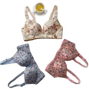 Lady Beautiful Back Small Chest Gathered Adjustable Bra Female Push-Up One Piece Seamless Printed Underwear Ethiopia Morocco - Product Image 1