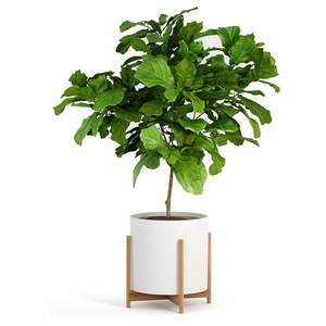 Support de fleurs en bambou, support de plantes sur pied, design minimaliste en bois massif pour salon, balcon, plantes en pot - Product Image 5