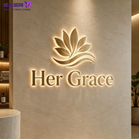Lettres lumineuses personnalisées en acier inoxydable 3D avec halo LED rétroéclairé, IP65, à fixer au mur, pour café, bureau, décoration extérieure commerciale
