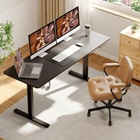 Bureau Moderne Économique à Hauteur Réglable, Bureau Ergonomique, Table d'Ordinateur, Bureau Électrique Assis-Debout